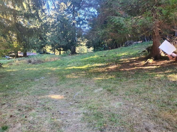 Teren Construcții intravilan de 2000 mp, în Poiana Brașov - 12