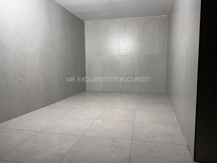 Spatiu Comercial 336 mp - Ultracentral, Piata Victoriei (Investitie) - 4