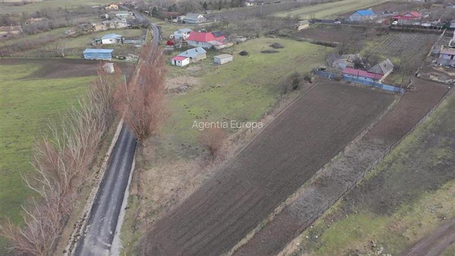 Teren de vanzare in Frecatei Tulcea - 6