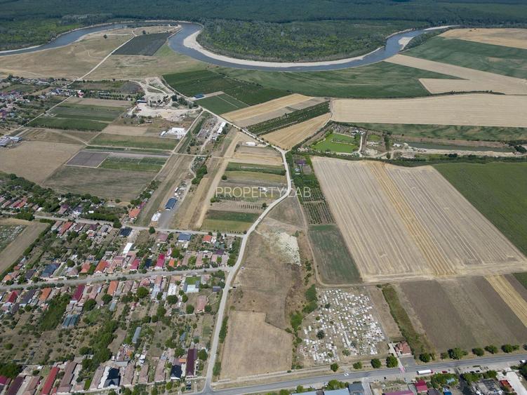 Teren intravilan 6.005 mp in Zădăreni - 10