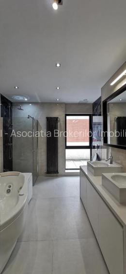 Dorobanti Penthouse supr. 235mp terasa 130mp - 26