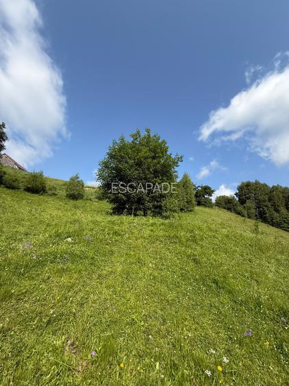 Teren superb intravilan  Pestera- Brasov, 11.908 mp - 12