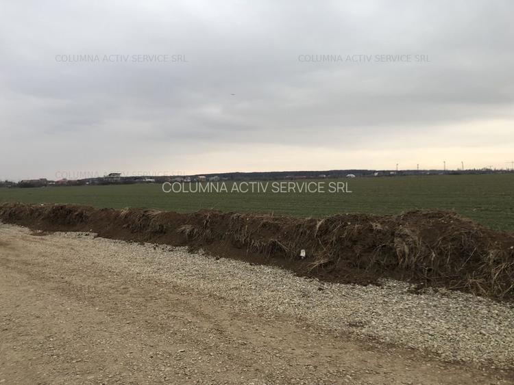 Balotesti  Albinelor 4600mp  opurtunitate - 4