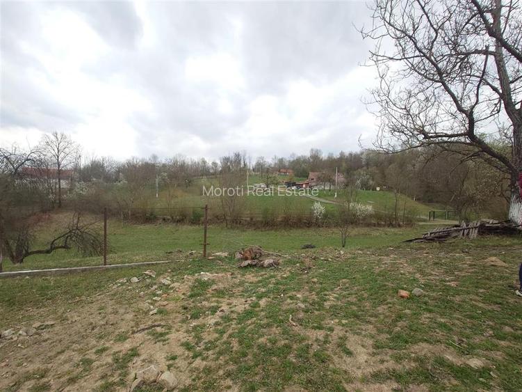 10 000 mp teren intravilan cu priveliste - 10