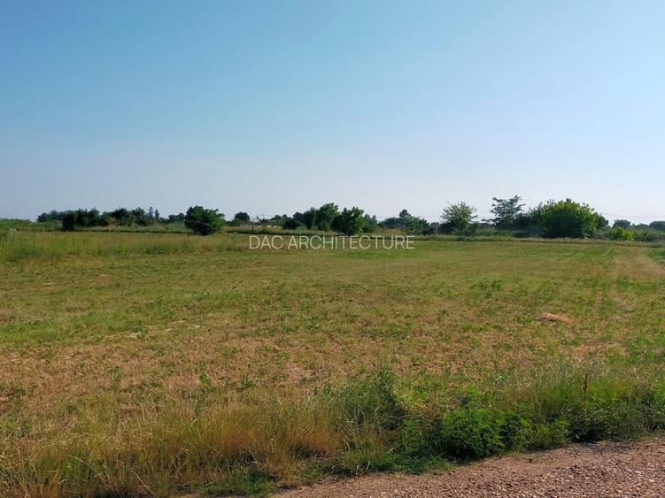 Teren intravilan 2,502mp Moara Vlasiei - 2