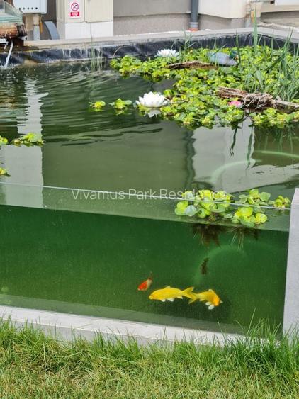 Spatiu comercial, 52 mp + 16mp balcon, iunie 2027 - 9