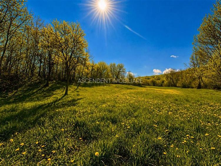 Domeniu de 3.400 mp cu traditionala casa, Suveica, Acatari Mures - 7