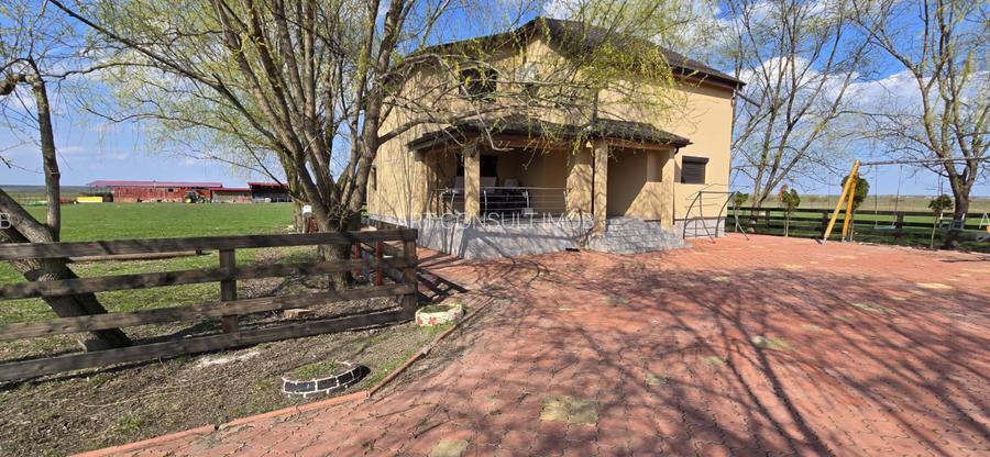 Fermă Zootehnică de Vânzare 6 Ha | Vaci și Oi | Grajd si Saivane | Calugareni | - 5