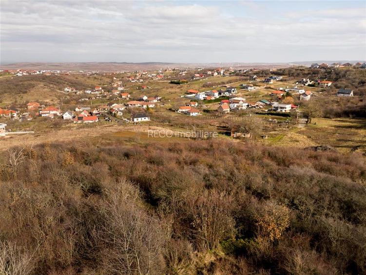 RECO Teren intravilan in zona Oncea - 10