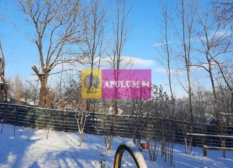 Casă de vânzare în Provița de Jos - 36