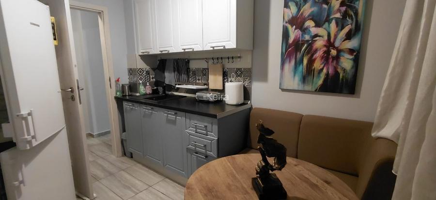 Inchiriere  apartament 3 camere Parcul Circului, cu vedere la parc - 10