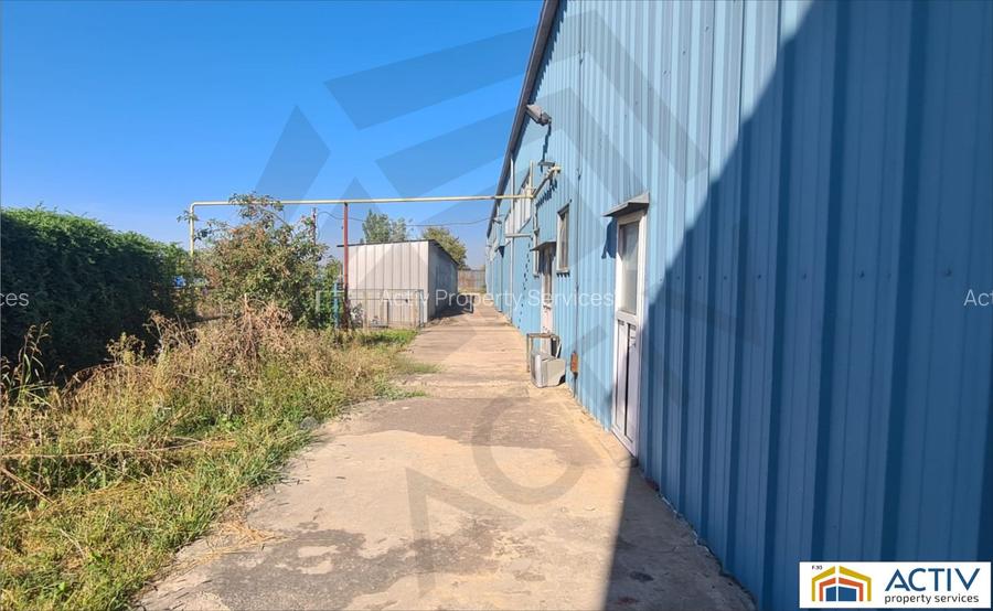 Hală de vânzare - Măgurele - Atomistiilor - 5