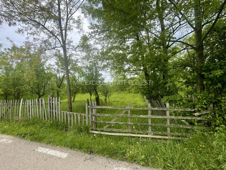 Teren intravilan Sotrile 6762 mp – Investitie, camping, agroturism - 4