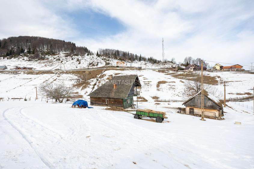 Teren 7,656 mp + Cabane tip A Frame, Fundata - 13