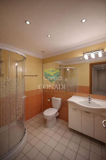 Apartament cu 4 camere de inchiriat Zona Soseaua Nordului - 20