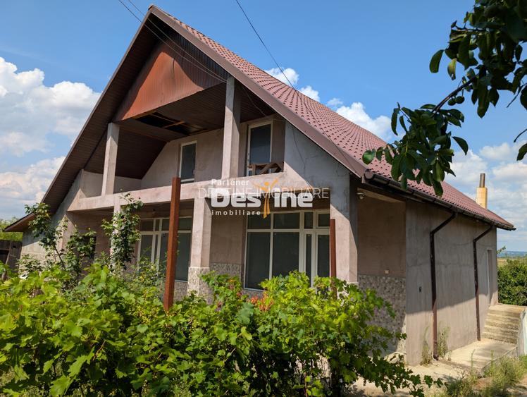 Ocazie - Casa individuala D+P+M 170 mp + 2400 mp teren cu IAZ la asfalt, Osoi - 4