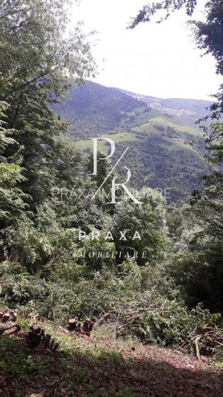 Teren de vanzare 10.000 mp/ parcelabil, cu utiitati, 4 euro/ mp! Maguri Racatau! - 5