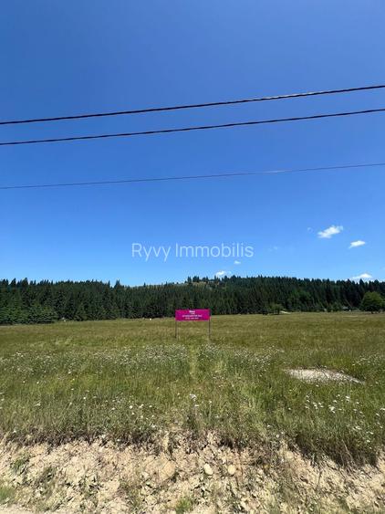 OPORTUNITATE ÎN INIMA NATURII-Teren intravilan, COMANDĂU, COVASNA - 5