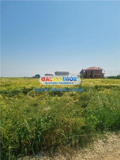 VANZARE TEREN INTRAVILAN 10000 MP  COMUNA BERCENI - 8