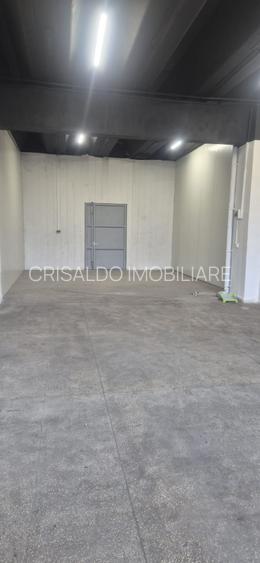 Spatiu Theodor Pallady - 15