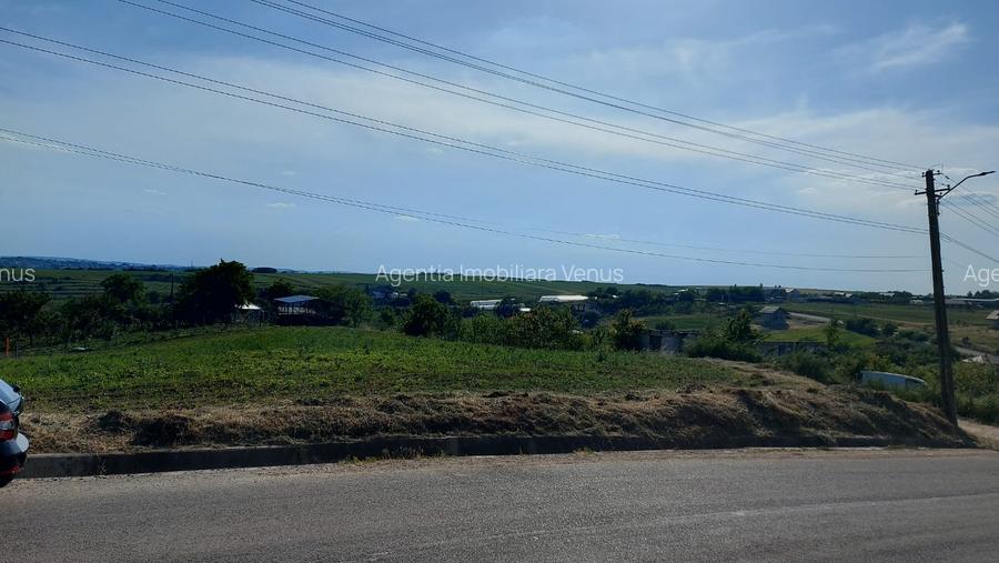 Teren la Rosiori - 4