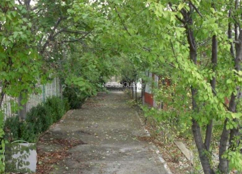 Casa Vacanta Izvorani - 7