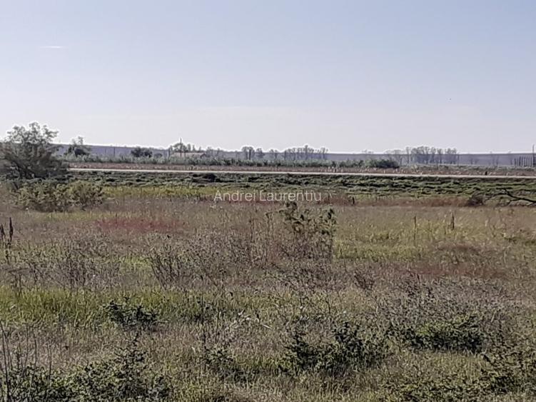 OCAZIE : INTRAVILAN com. MURIGHIOL - 19 euro/m.p. Deschidere Dunare  74 m. - 10