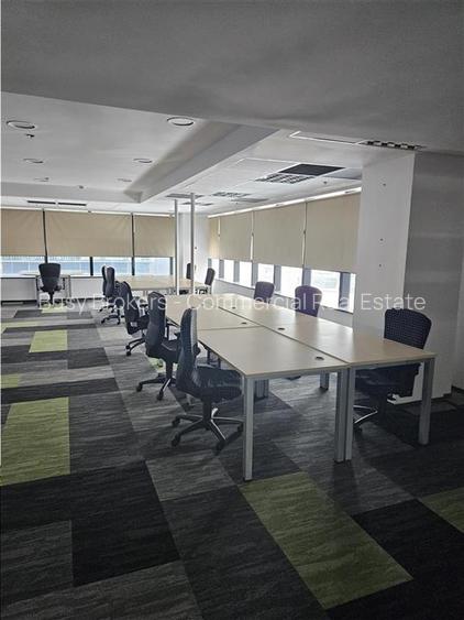 Spatii Birouri - 500 la 3500 mp - Parcul Sub Arini - 9