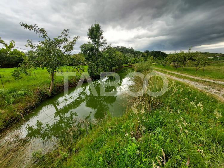 COMISION 0-Casa cu 4000 mp teren piscina zona retrasa in Casolt - 7
