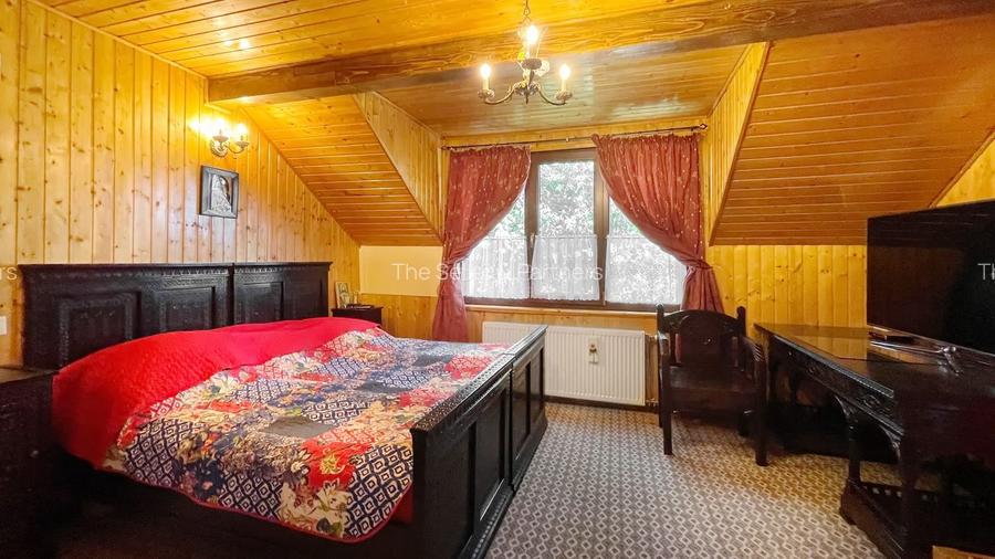 Complex de 3 case pe 18000 mp teren - 24