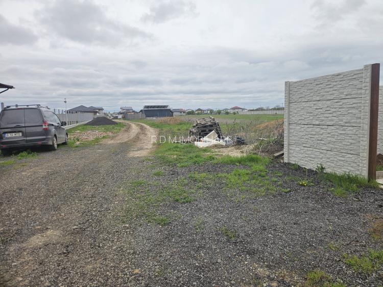 LOT 500 mp Clinceni - 3