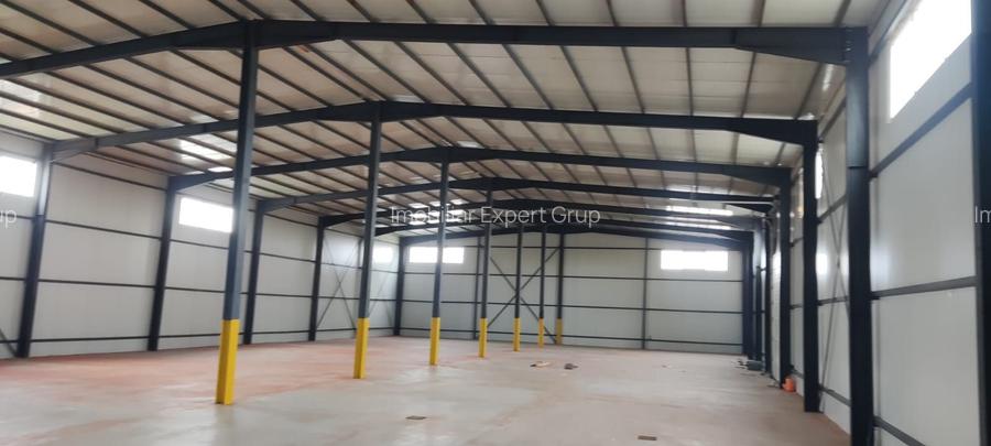 Hale noi 2buc  Voluntari ( Afumati ) pret bomba 750.000 euro - 3