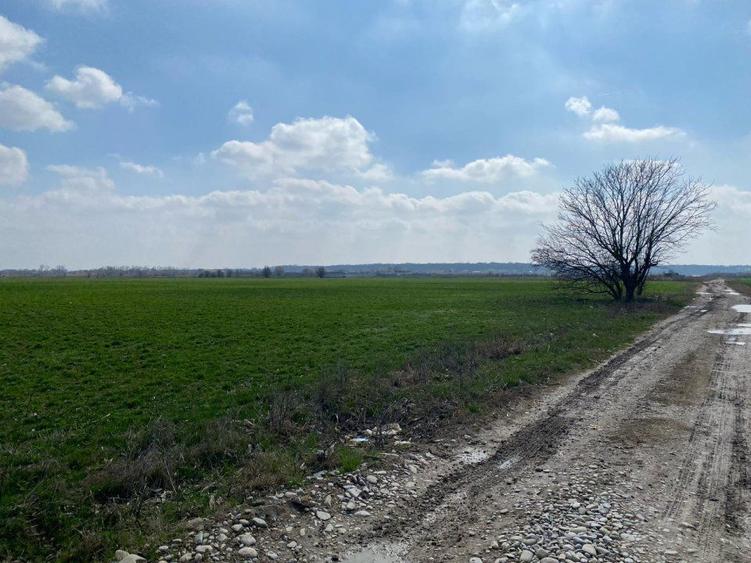 Teren Intravilan Snagov