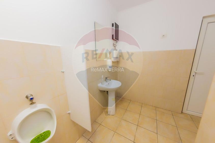 DE INCHIRIAT/VANZARE spatiu comercial cu acces TIR si parcare privata - 26