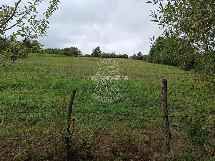 Teren intravilan 12600 mp-utilitati-ideal case, investitie-Livezile - 3