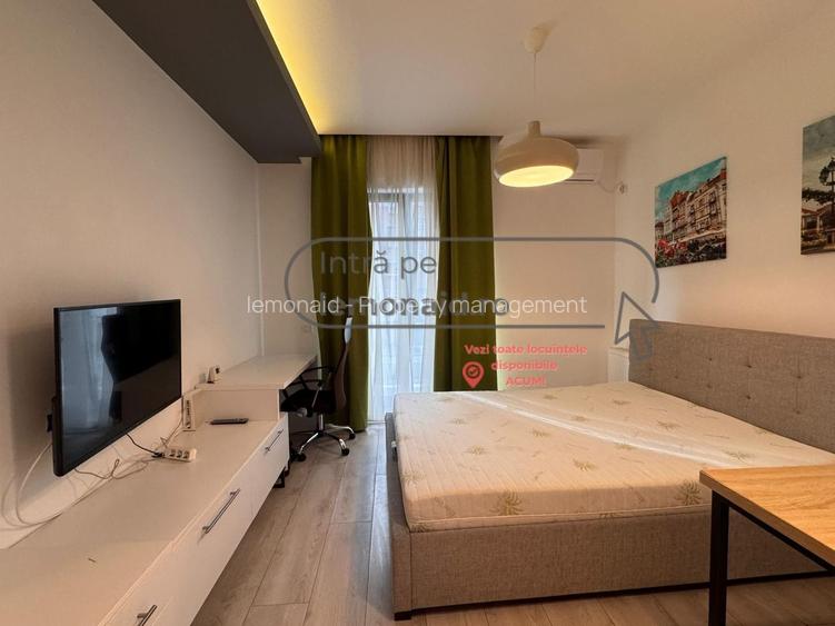 Studio | Aradului - Valeriu Alaci | Property Management - lemonaid - 9