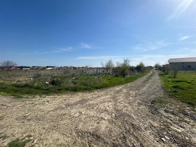 Loturi de teren de vanzare in Campineanca - 7