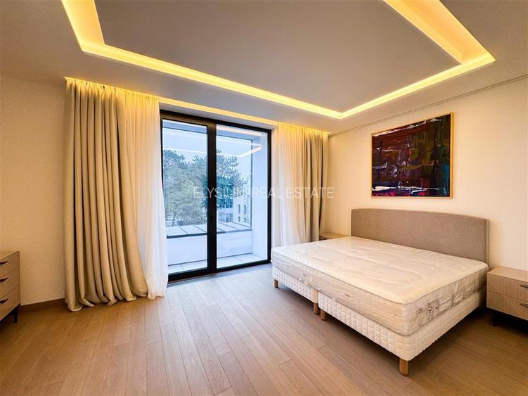 Apartament de inchiriat 4 camere Kiseleff - 18