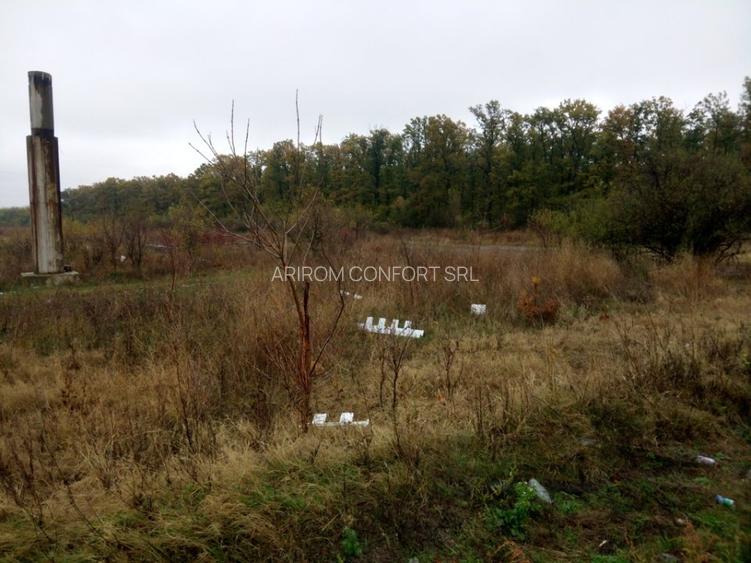 Vand Teren pt PARC FOTOVOLTAIC, BENZINARIE, HALE - DN5 Bucuresti-Giurgiu km 45 - 11