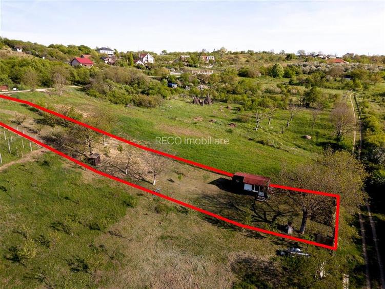 RECO Teren intravilan in Saldabagiu de munte zona Gheorghe Doja - 4