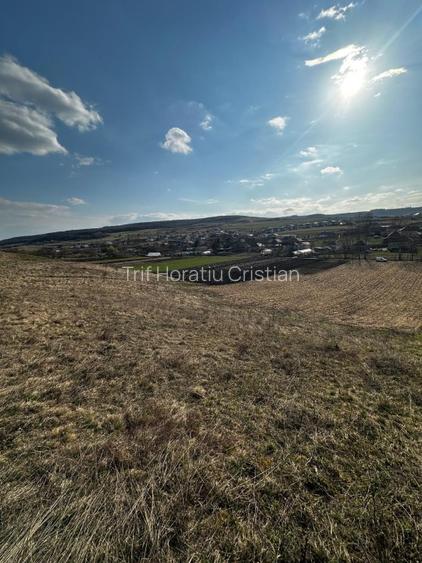 Teren extravilan 9000 mp Corușu, Baciu – acces drum,  acces apa curgatoare - 12