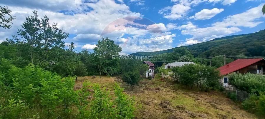 Teren Intravilan de vanzare 3551mp Poiana Copaceni Com Gura Vitioarei - 2