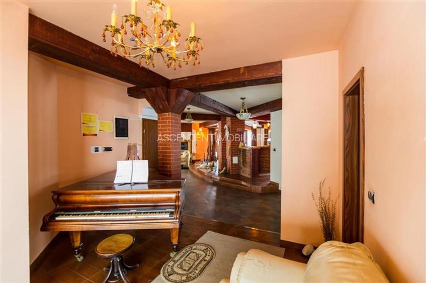 Rafinament in cartier linistit, pe 30.000 mp teren paradis, facilitati Premium - 14