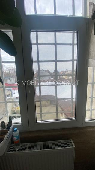 Piata Domenii - Ion Mihalache - 20