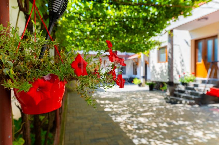 Casa + Pensiune deosebita - Orlat, Sibiu - 50