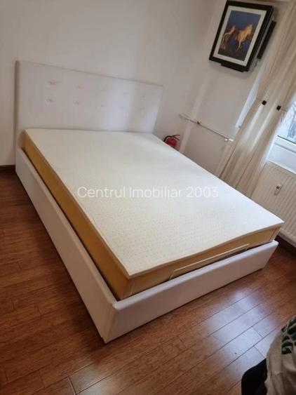 Garsoniera mobilata, Investitie,inchiriata 250 euro, Teiul Doamnei - 3