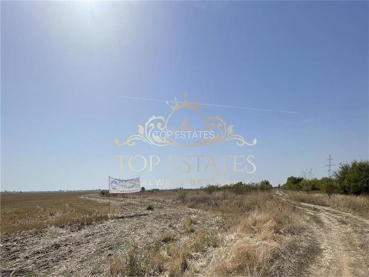 Vanzare teren intravilan zona industriala 5000 mp - Chiajna A1, Ilfov - 2