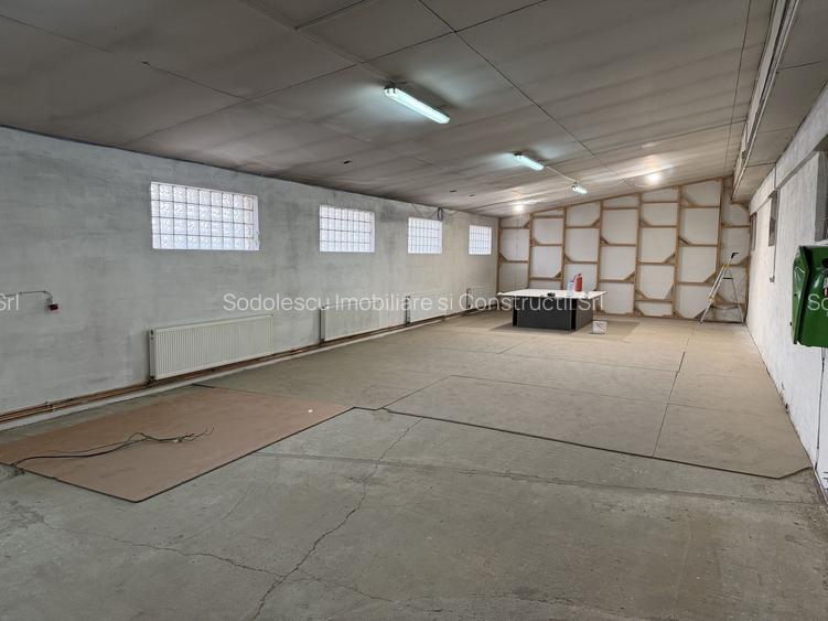 Hală industrială cu poziționare strategică în Giarmata - 18