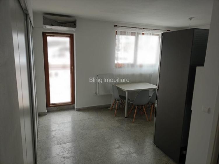 Apartament cu o camera, terasa, zona Razoare - 13