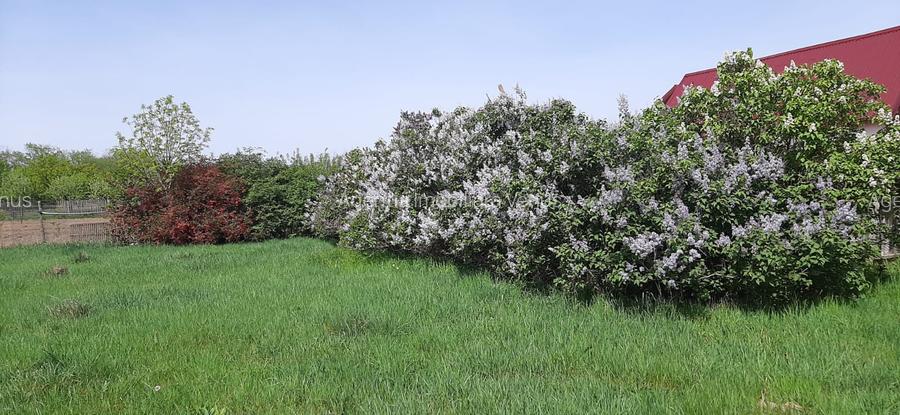 Teren intravilan in Zaicesti zona Conacului cu latura de padure - 6